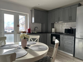 Bucovina View apartment